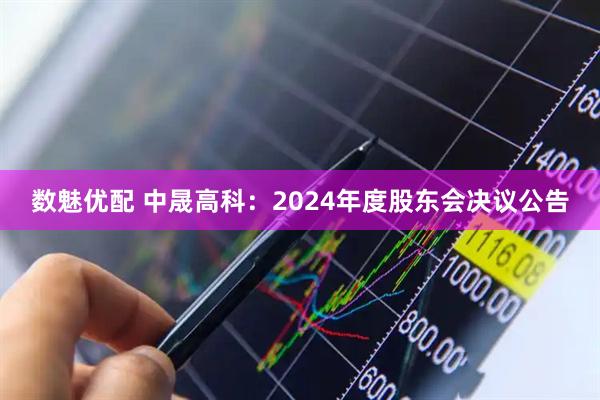 数魅优配 中晟高科：2024年度股东会决议公告