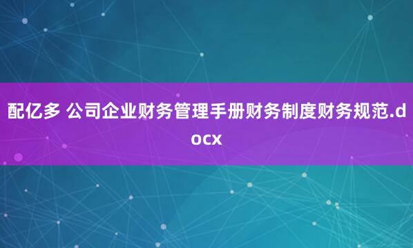 配亿多 公司企业财务管理手册财务制度财务规范.docx