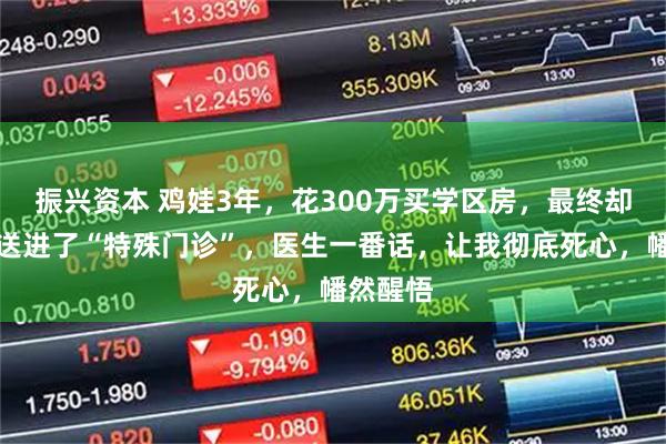 振兴资本 鸡娃3年，花300万买学区房，最终却把儿子送进了“特殊门诊”，医生一番话，让我彻底死心，幡然醒悟