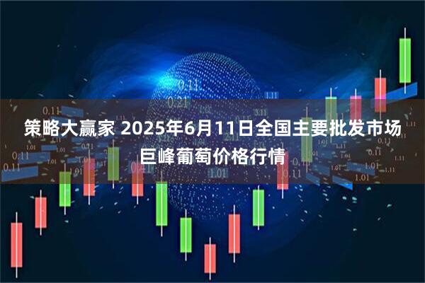 策略大赢家 2025年6月11日全国主要批发市场巨峰葡萄价格行情