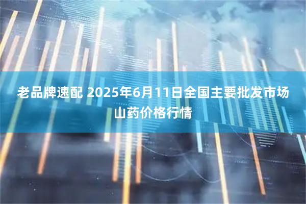 老品牌速配 2025年6月11日全国主要批发市场山药价格行情