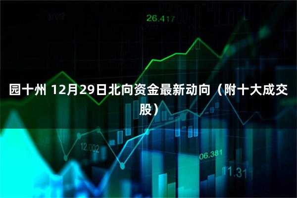 园十州 12月29日北向资金最新动向（附十大成交股）